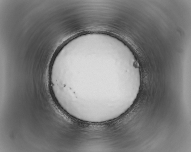 X0000111880840200908131632