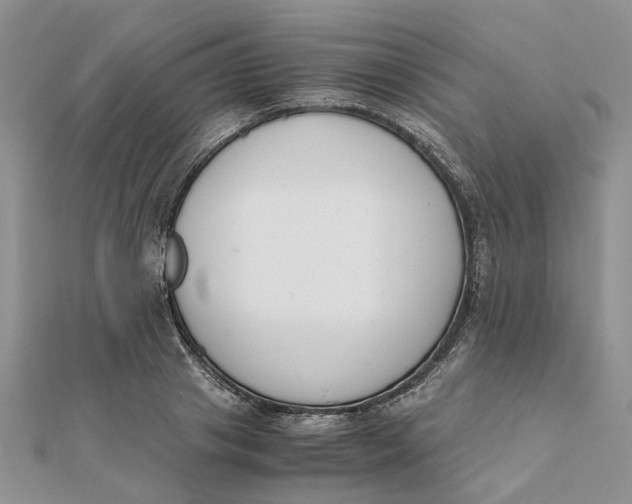 X0000111880841200908131632