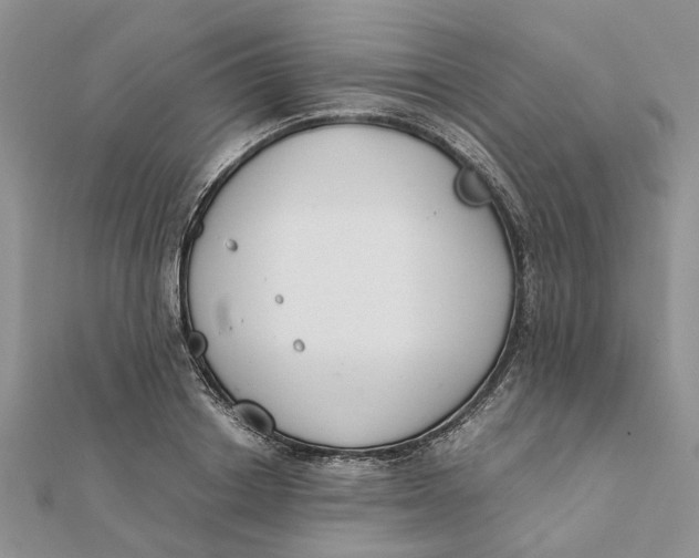 X0000111880842200908131632