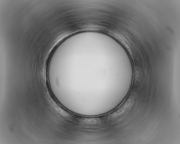 X0000111880843200908131632