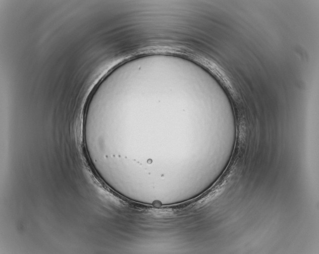 X0000111880844200908131632