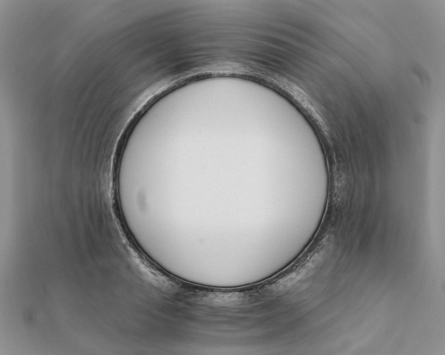 X0000111880845200908131632