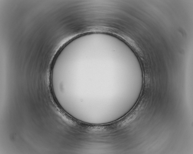 X0000111880846200908131632