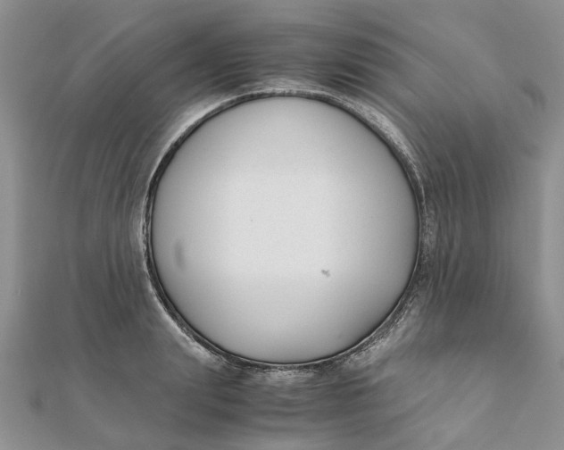 X0000111880847200908131632