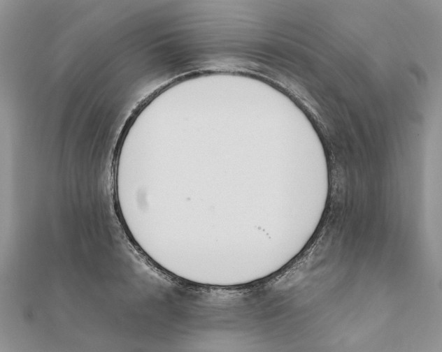 X0000111880848200908131632