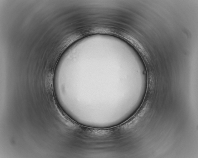 X0000111880849200908131632