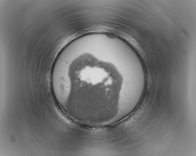 X0000111880850200908131632