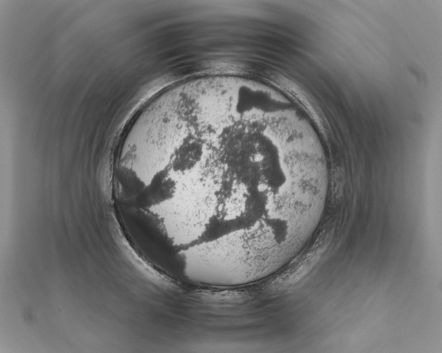 X0000111880851200908131632