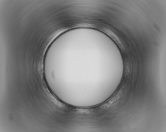 X0000111880852200908131632