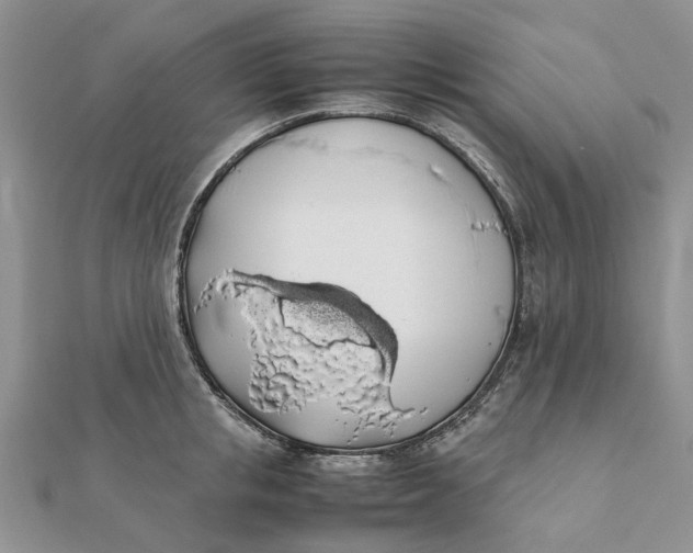 X0000111880853200908131632