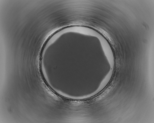 X0000111880854200908131632