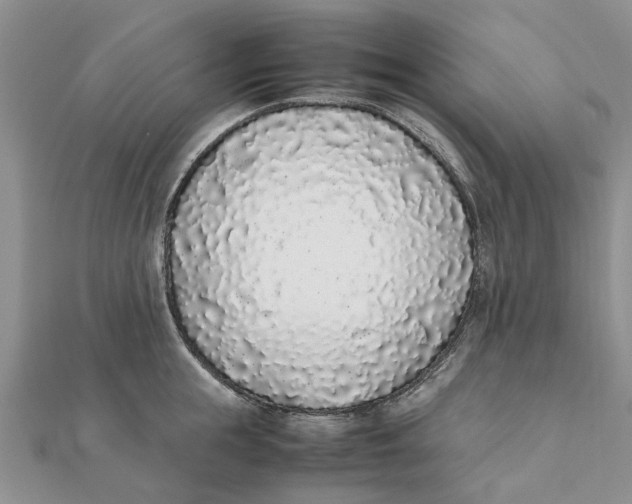 X0000111880855200908131632