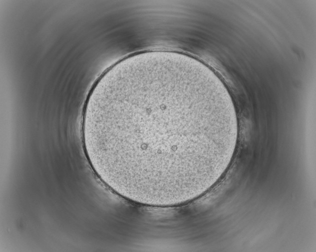 X0000111880856200908131632