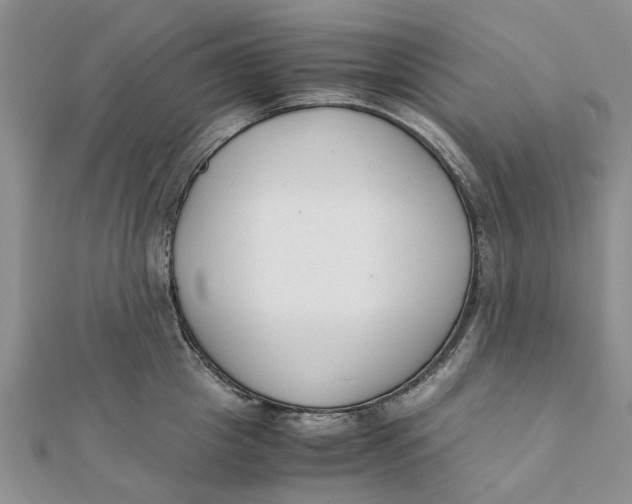 X0000111880857200908131632