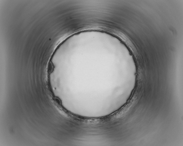 X0000111880858200908131632