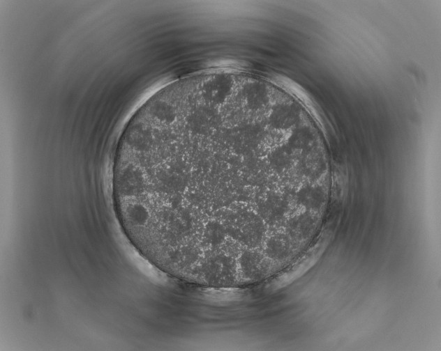 X0000111880859200908131632