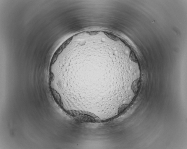 X0000111880860200908131632