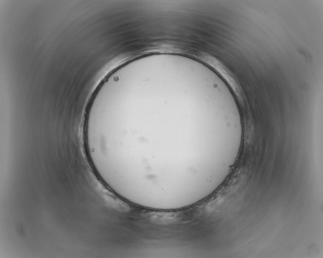 X0000111880861200908131632