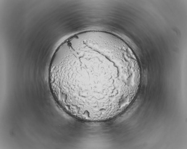 X0000111880862200908131632