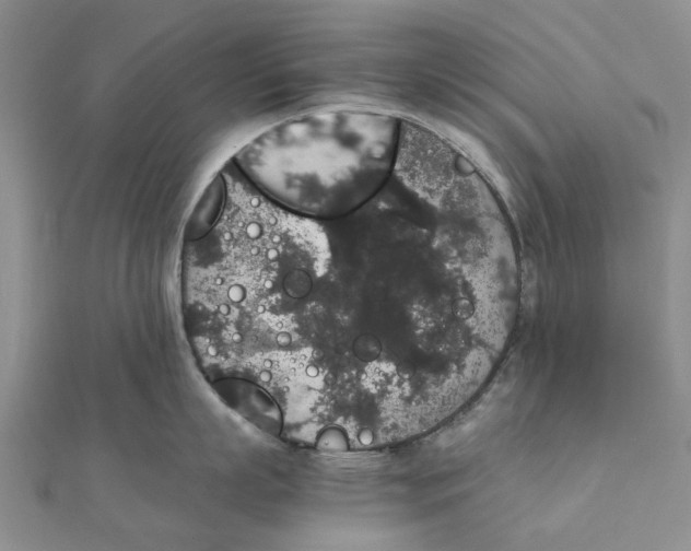 X0000111880863200908131632