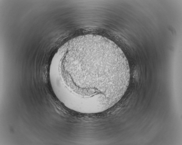 X0000111880868200908131632