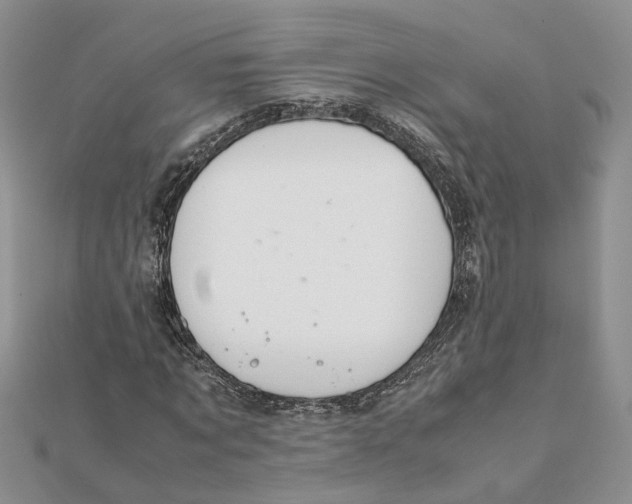 X0000111880869200908131631