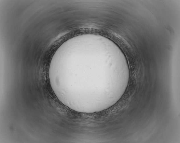 X0000111880870200908131631