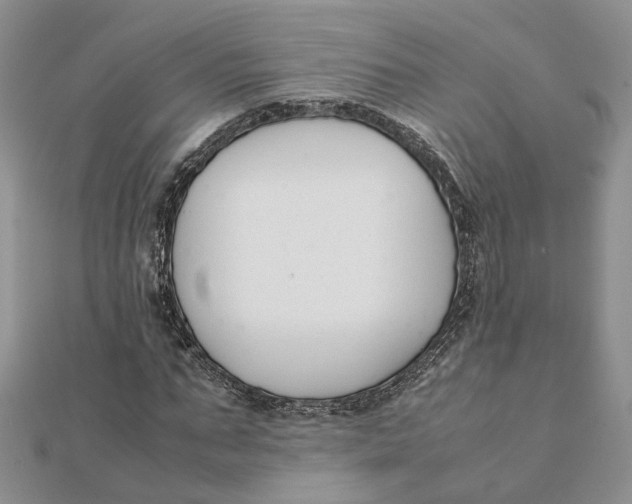 X0000111880871200908131631