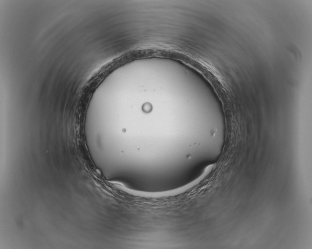 X0000111880872200908131631