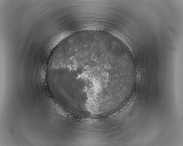 X0000111880874200908131631