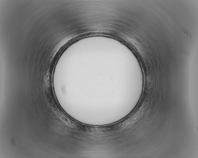 X0000111880875200908131631