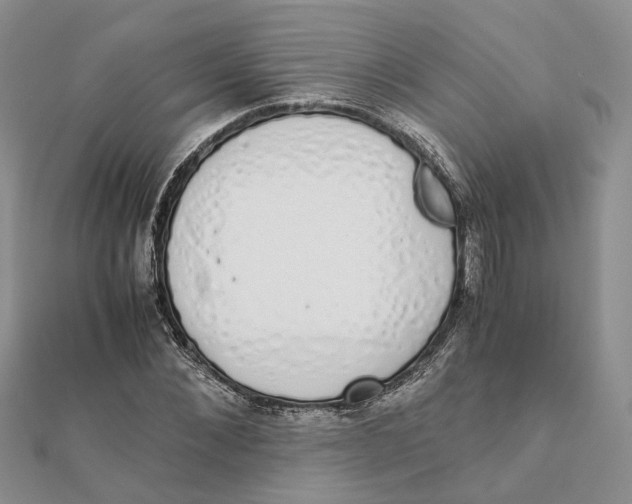 X0000111880876200908131631