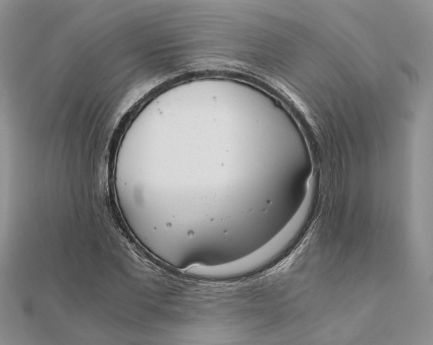 X0000111880877200908131631