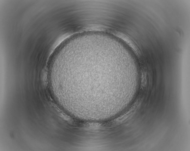 X0000111880878200908131631