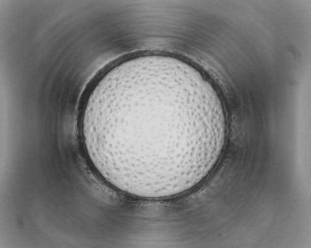 X0000111880880200908131631