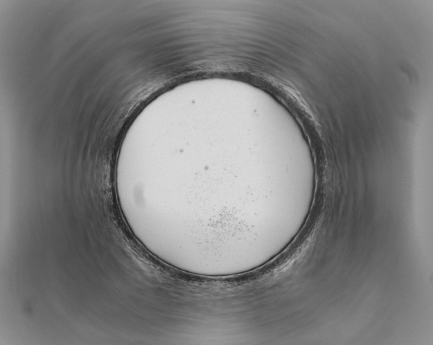 X0000111880881200908131631