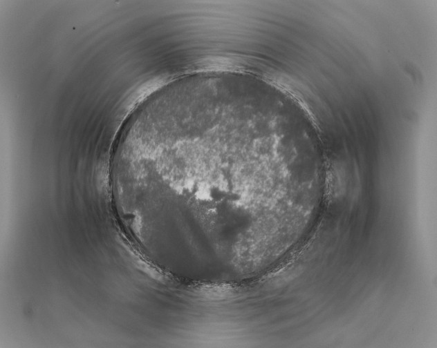 X0000111880882200908131631