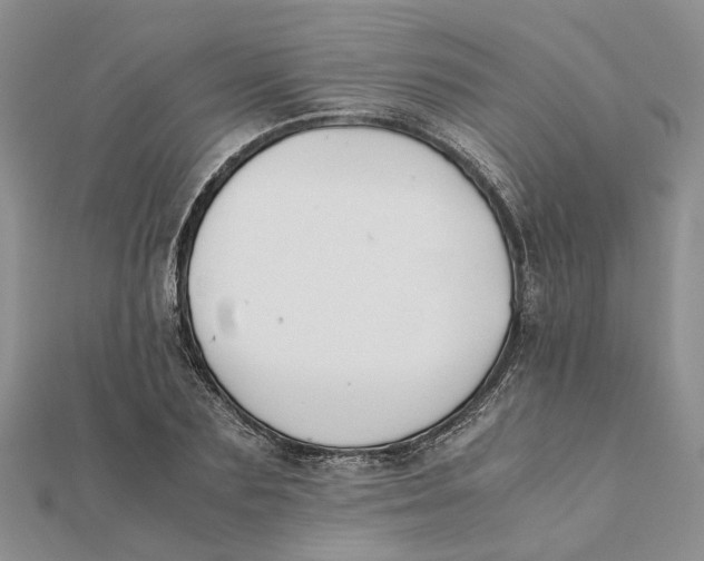 X0000111880883200908131631