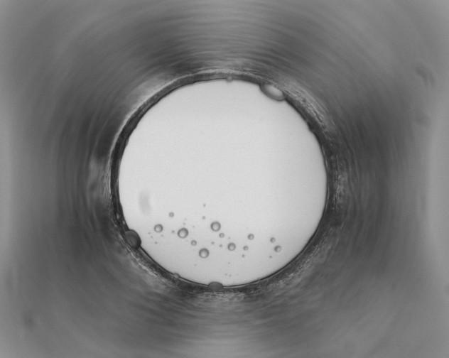 X0000111880884200908131631