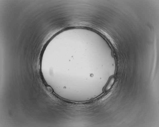 X0000111880885200908131631