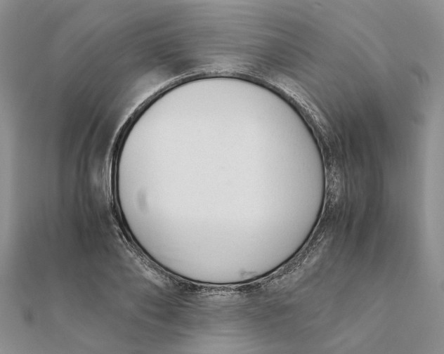 X0000111880886200908131631