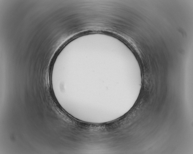 X0000111880887200908131631