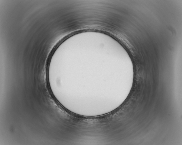 X0000111880888200908131631