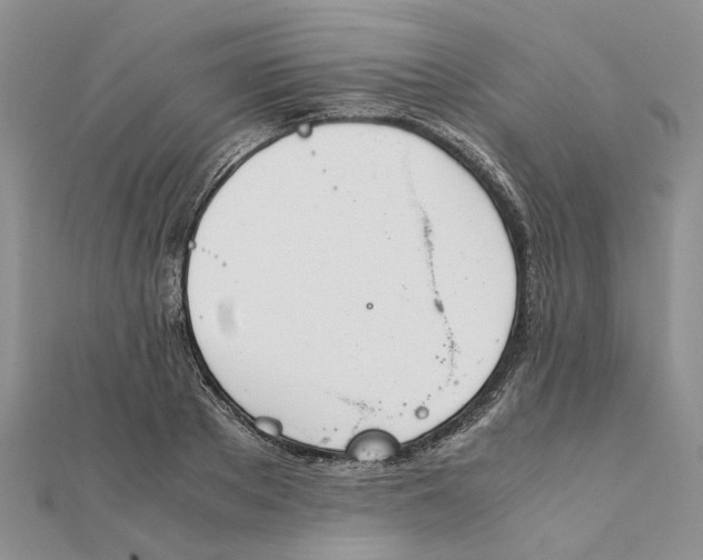 X0000111880889200908131631