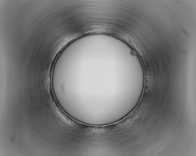 X0000111880890200908131631