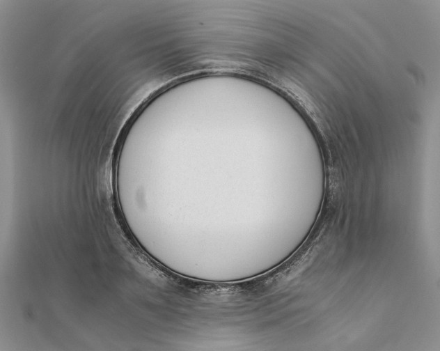 X0000111880891200908131631