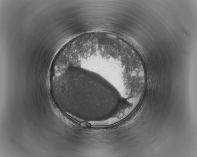 X0000111880892200908131631