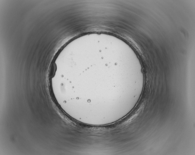 X0000111880893200908131631