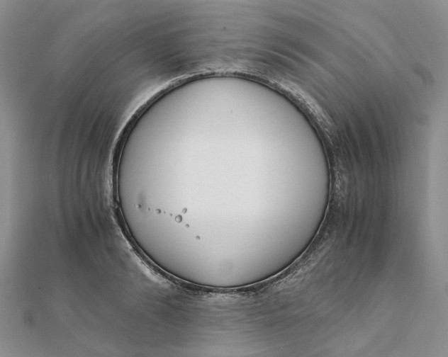 X0000111880894200908131631