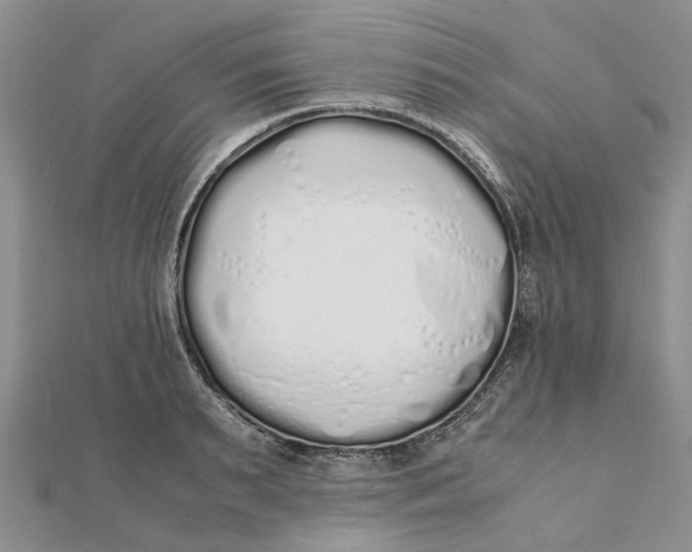 X0000111880895200908131631